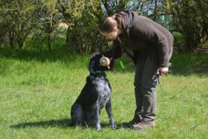 Hundekurs Impressionen