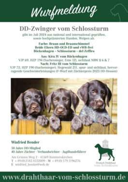 Wurfmeldung