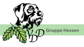 VDD Gruppe Hessen