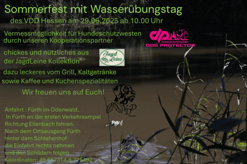 Sommerfest