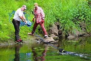 Einarbeitung Wasser