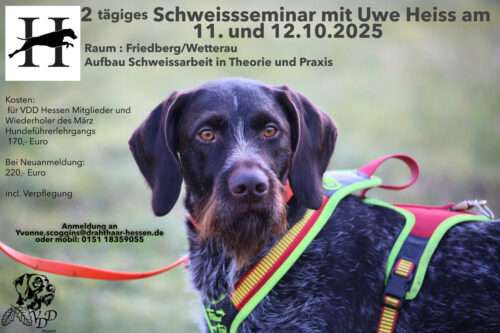 Uwe Heiss Schweiss Seminar