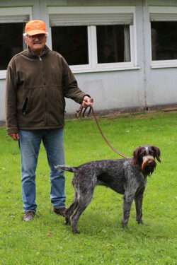 Hegewaldhunde 2025