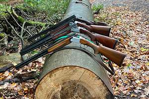 26.10.2025 VGP Fürth