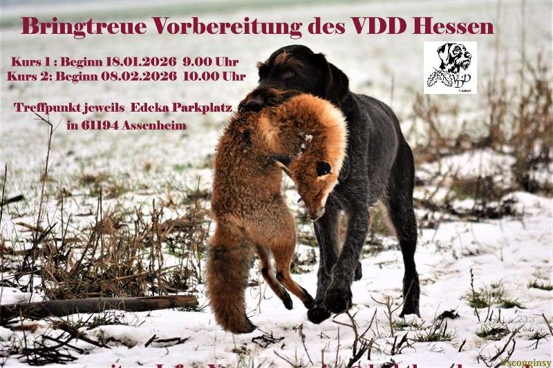 1. Termin, Bringtreue Vorbereitung um Lützelbach