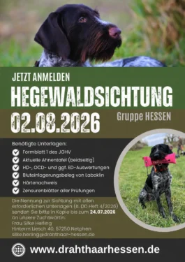 Hegewaldsichtung