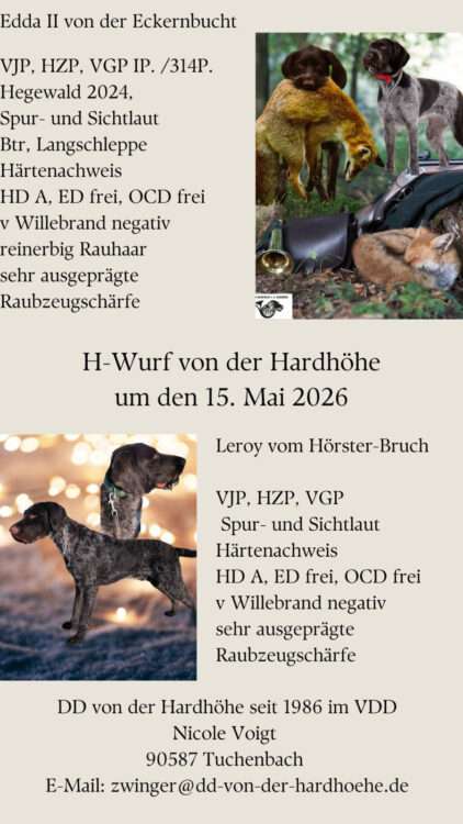 H-Wurf von der Hardthöhe