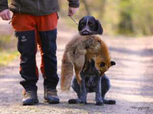 Am Samstag, 21. März fand schon die zweite Bringtreue-Prüfung in diesem Jahr statt.