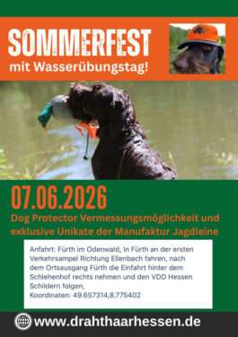 Sommerfest VDD