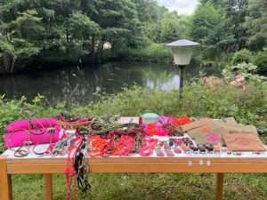 VDD-Hessen Sommerfest 2026